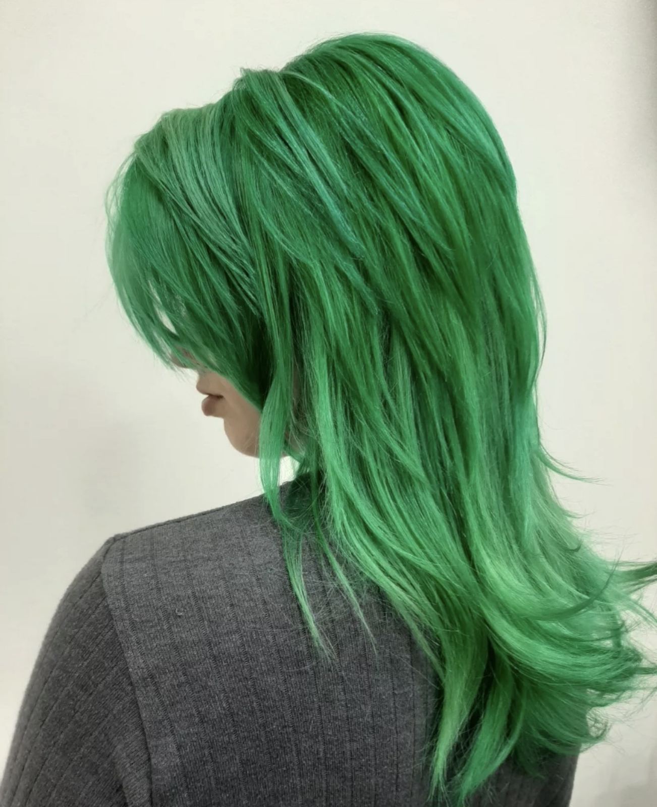 Bellezza e Colori – boja i pramenovi